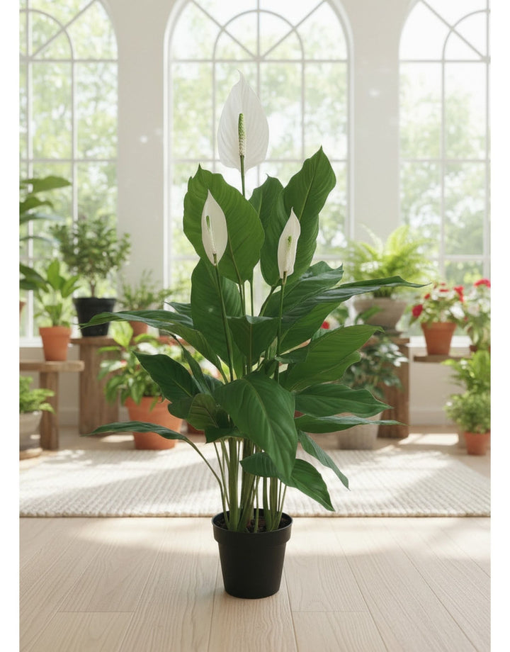 Pianta Spathiphillium natural touch con vaso - H 125 cm