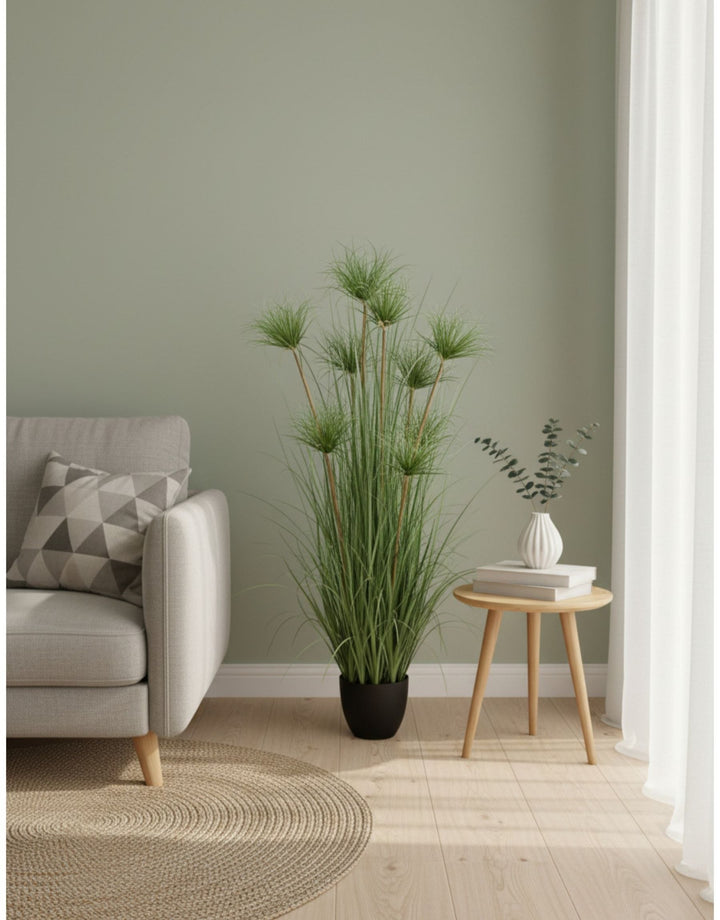 Pianta Papiro 9 steli con vaso - H 125 cm Verde