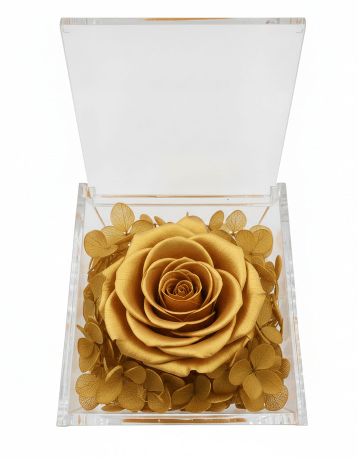 Rosa Stabilizzata Oro in Cofanetto