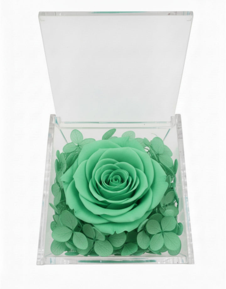 Rosa Stabilizzata Verde Acqua in Cofanetto